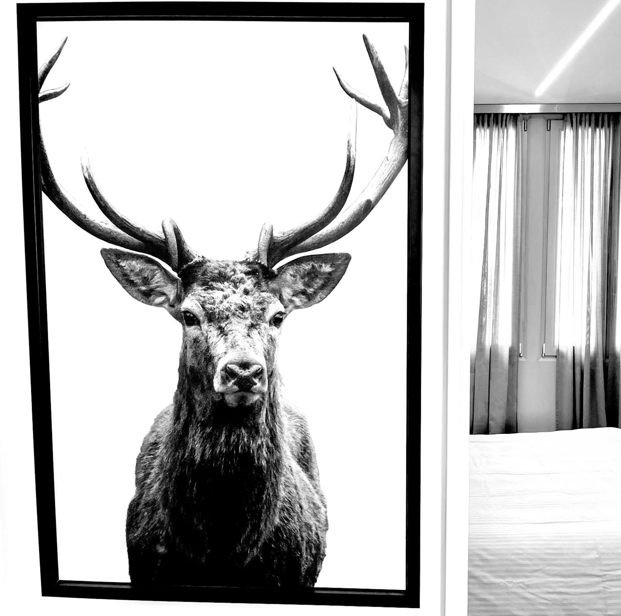 Suite Falier- Luminosa Venezia Dış mekan fotoğraf